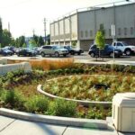Urban rain garden beside a street with parked and moving cars