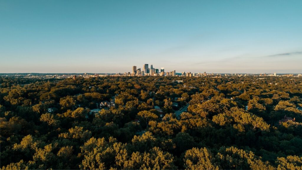 Aerial view of dense urban tree canopy with a downtown skyline