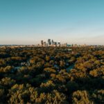 Aerial view of dense urban tree canopy with a downtown skyline