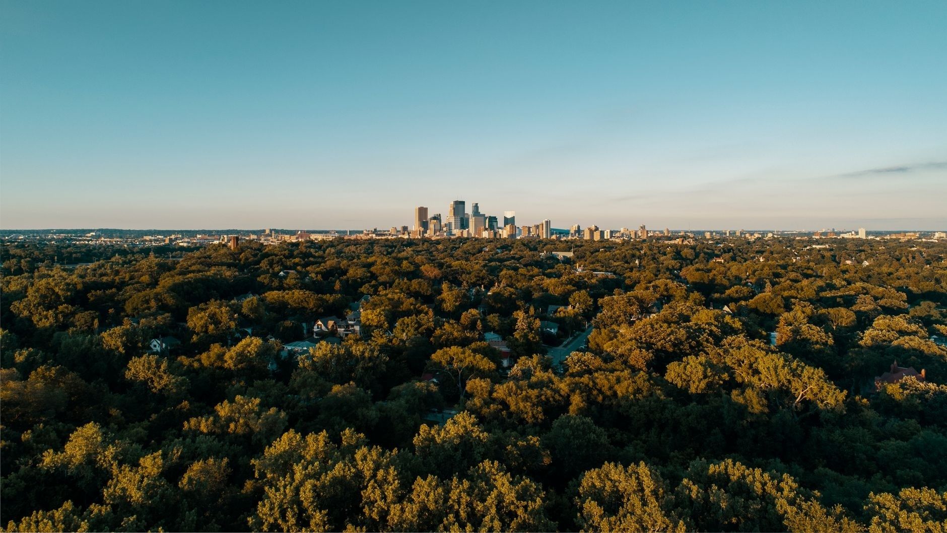 Aerial view of dense urban tree canopy with a downtown skyline